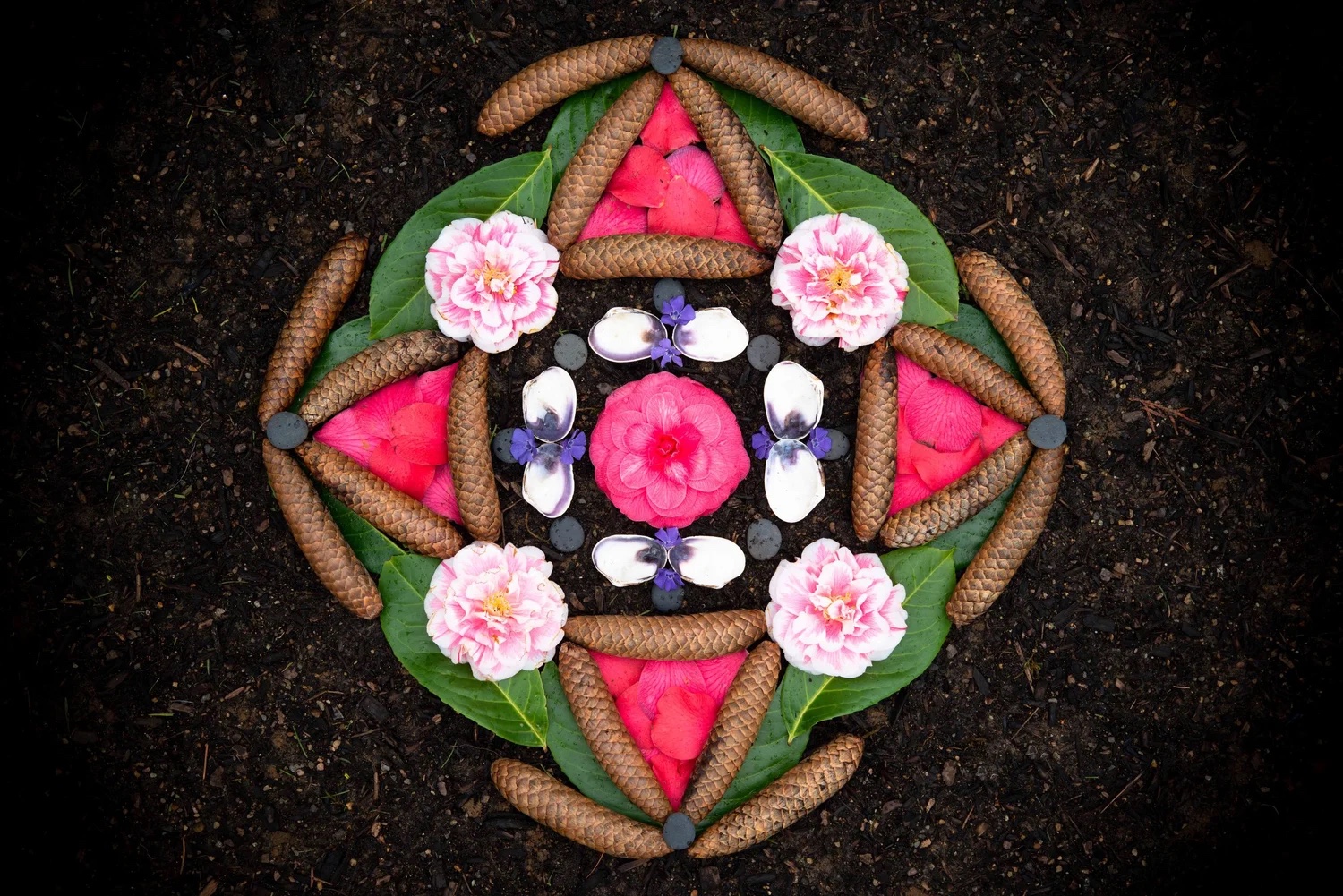A nature altar of pink camellias, leaves, and pinecones in a diamond mandala
