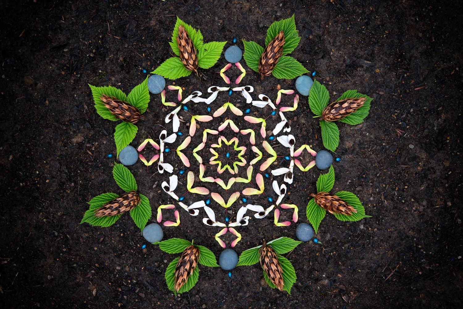 A nature altar of green leaves, blue berries, and seed pods radiating from a kaleidoscopic center