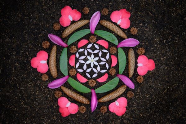 A flower-of-life altar of pink petals, pinecones, and green leaves